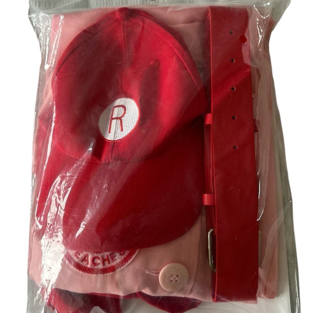 Rockford Peaches Baseball costume - Picture 4 of 6